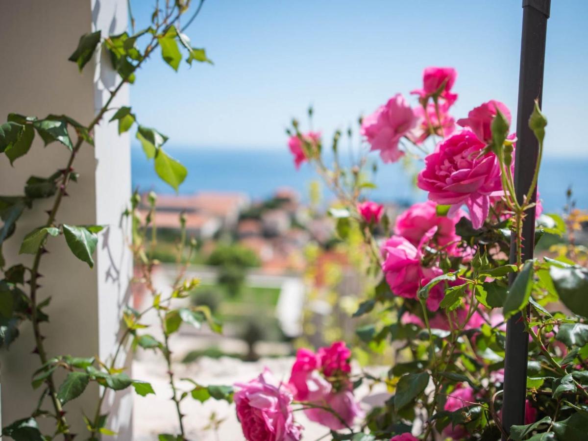 Apartment Faros Dubrovnik Eksteriør bilde