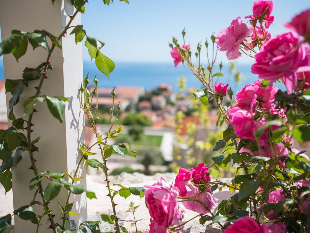 Apartment Faros Dubrovnik Eksteriør bilde